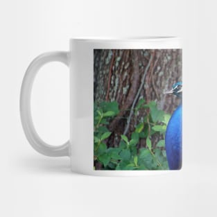 Peacock Profile Mug